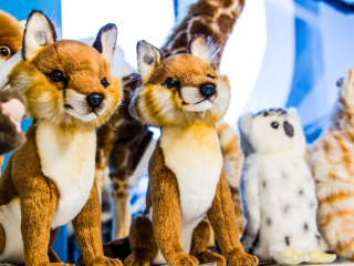 冲绳美丽海水族馆