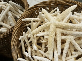 冲绳美丽海水族馆