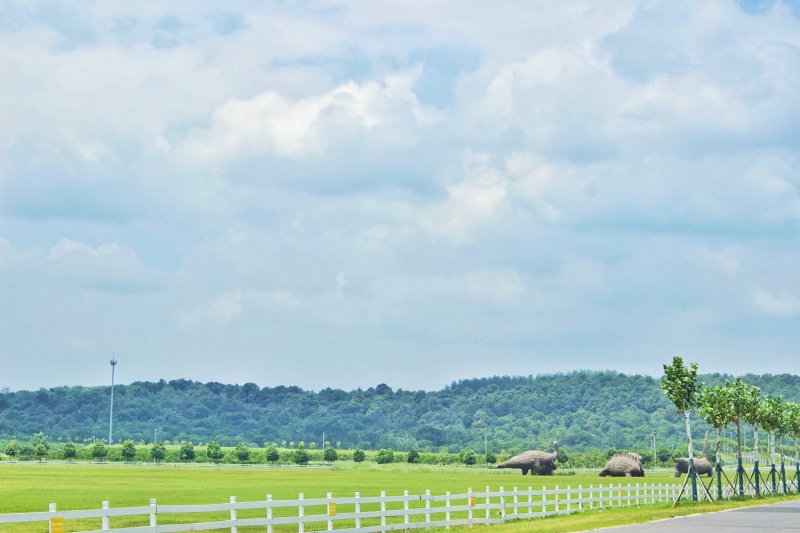 【途牛首发】水泥丛林里的草原梦,我在巴布洛等风也等你
