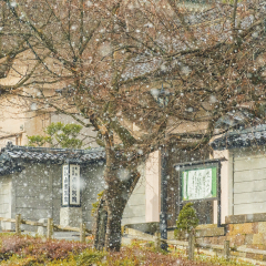 日本北海道函馆别院