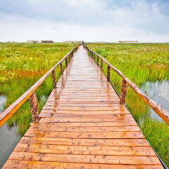 内蒙古达里诺尔湖