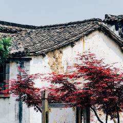 水墨江南，古镇龙门