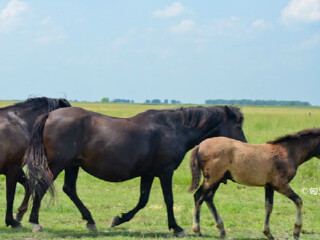 奥格泰莱克国家公园