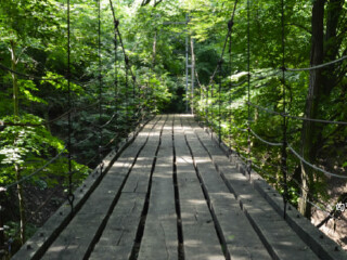 维谢格拉德华盖