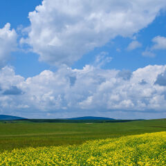 桦木沟国家森林公园