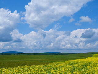 桦木沟国家森林公园