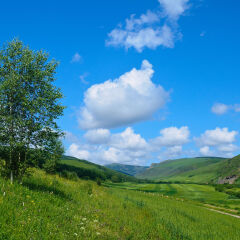 桦木沟国家森林公园
