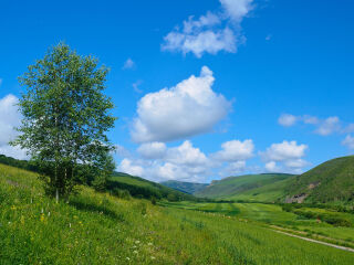 桦木沟国家森林公园