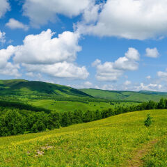 桦木沟国家森林公园