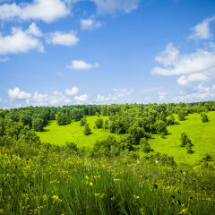 内蒙古克什克腾旗桦木沟国家森林公园