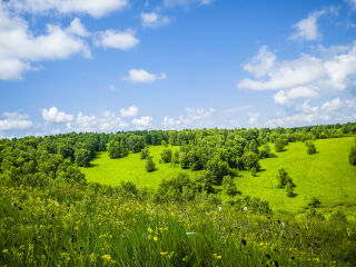 桦木沟国家森林公园