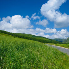 桦木沟国家森林公园公路