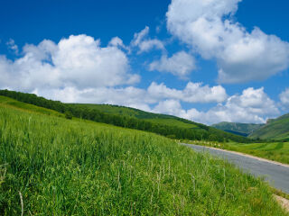 桦木沟国家森林公园