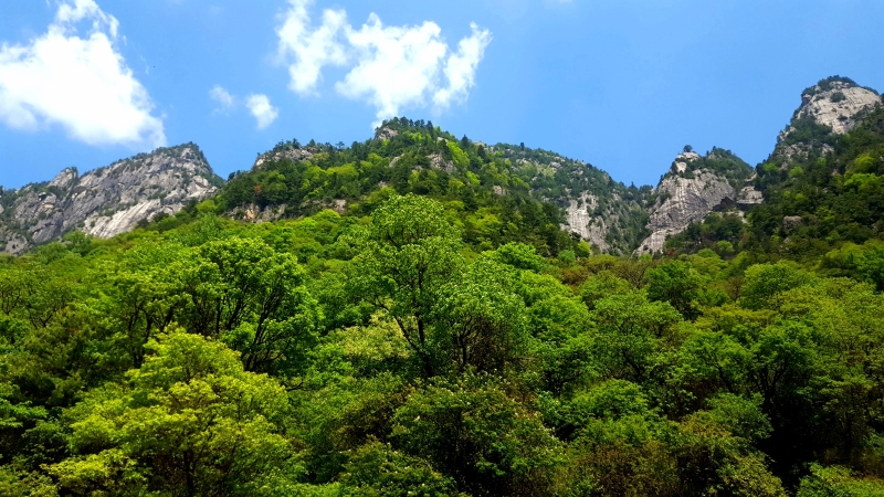 太白奇秀甲天下,避暑圣地似仙境——盛夏太白山游记