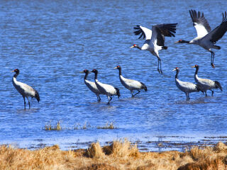威宁彝族回族苗族自治县