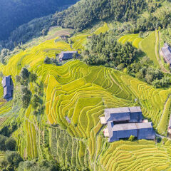 Aerial Longji Terraced Fields