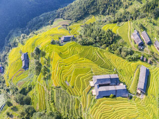 龙脊梯田