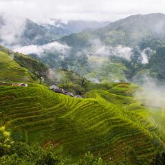Longji Morning