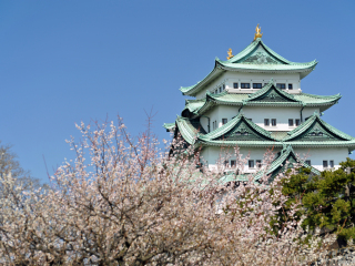 名古屋城