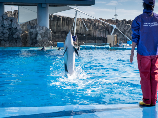 名古屋港水族馆