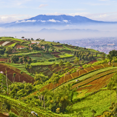 beautiful Indonesian landscape, west java, Bandung view