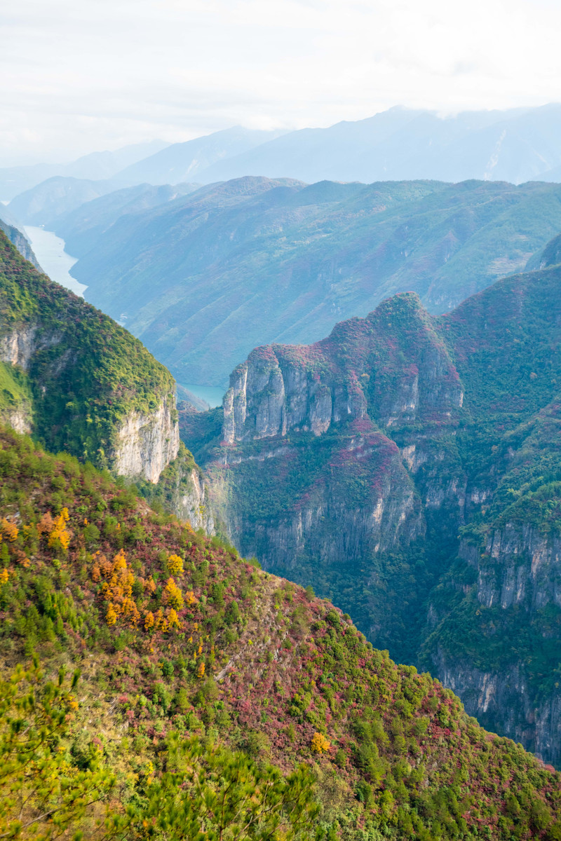 天鹅之旅首发 仙境之城 神女之路 三天两晚赏红叶品美食游巫山 天鹅之旅