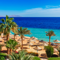 Sunny resort beach with palm tree at the coast shore of Red Sea in Sharm el Sheikh, Sinai, Egypt, Asia in summer hot. Bright sunny light