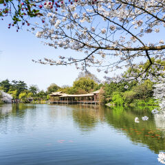 景点模块 