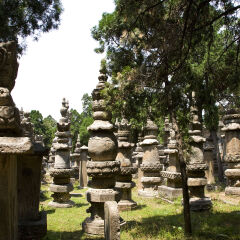 中国,山东省,长清县,灵岩寺,