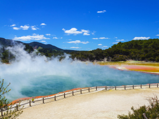 新西兰毛利工艺美术学院
