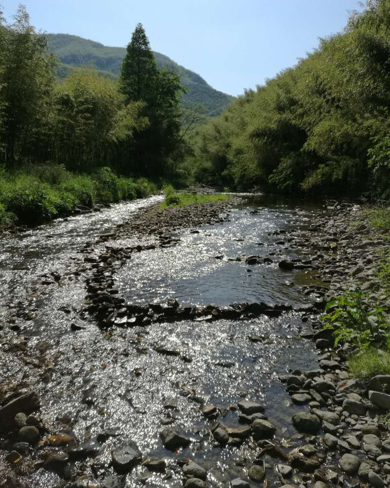 莫干山·莫溪农家乐