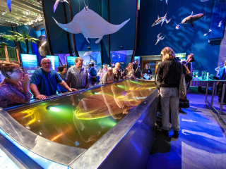 新西兰国家博物馆