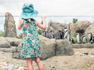 卡尔加里动物园