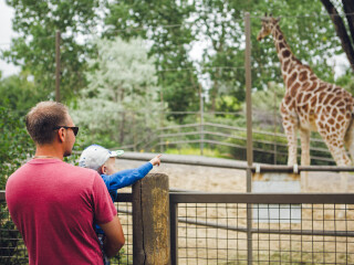 卡尔加里动物园