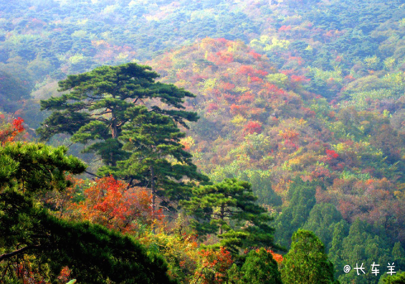  香山公園