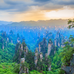 Quartzite sandstone pillars and peaks with green trees and mountains panorama, Zhangjiajie national forest park, Hunan province, China