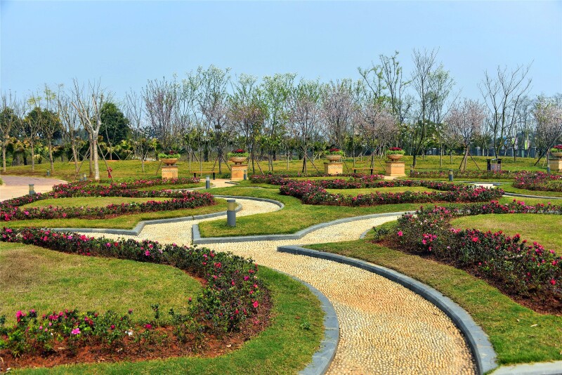 公园南大门前的花坪.