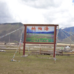 亚洲,中国,云南省,香格里拉,依拉草原,纳帕海,