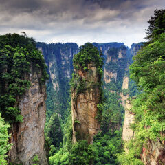 Zhangjiajie forest