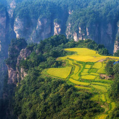 Rural Scenery