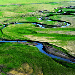 呼伦贝尔草原上的美景