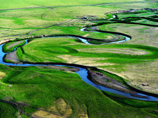 呼伦贝尔大草原