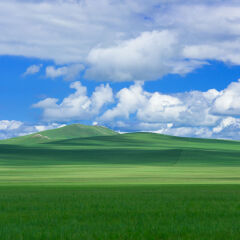 内蒙古呼伦贝尔大草原