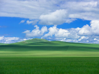 呼伦贝尔大草原