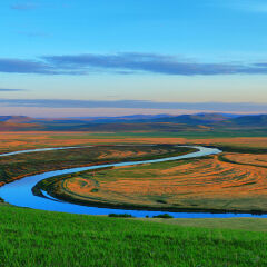内蒙古呼伦贝尔草原风光