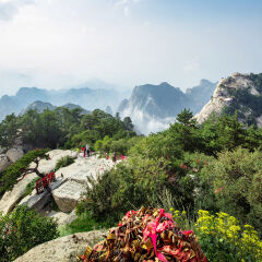 景点模块 