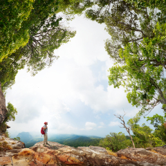 Hiker with backpack standing on the rock surrounded by lush tropical forest