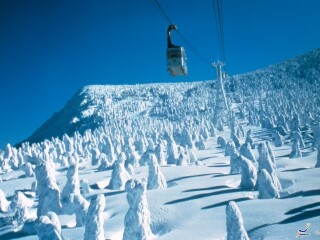 藏王温泉滑雪场