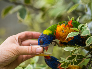 可伦宾野生动物保护区