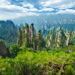Nature in China -  mountain landscape of Zhangjiajie Wulingyuan National Park, Unesco world heritage site